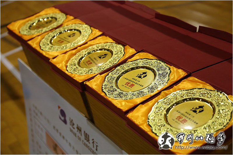 洲际重工杯八极拳VS国际联队擂台挑战赛优胜奖牌